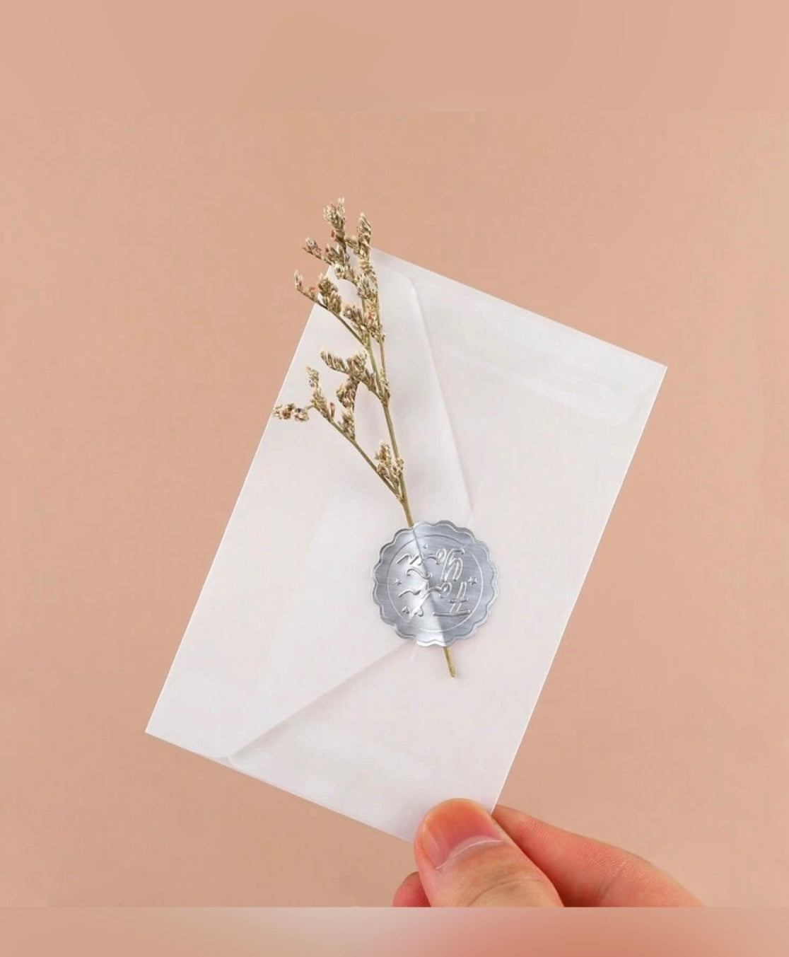 Mini Translucent Vellum Envelopes(50)