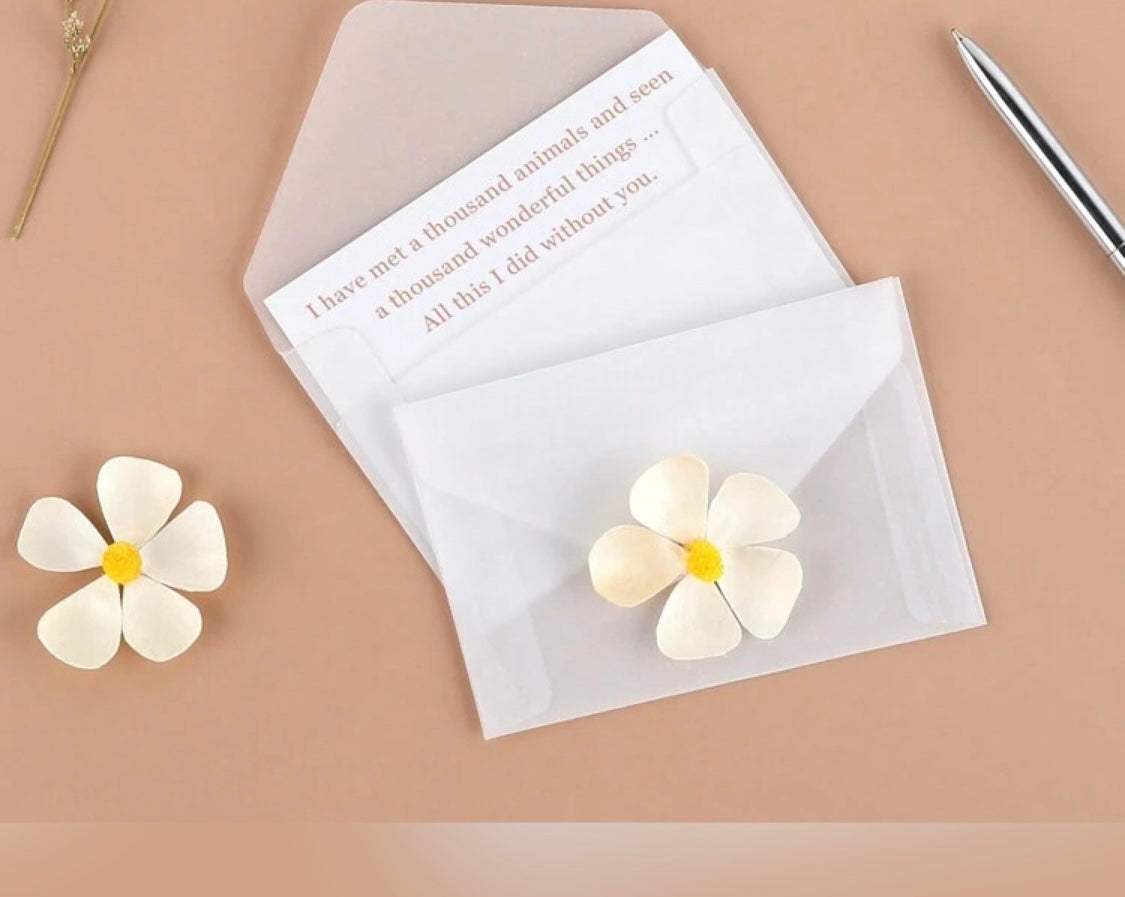 Mini Translucent Vellum Envelopes(50)